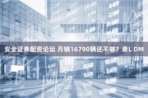 安全证券配资论坛 月销16790辆还不够？秦L DM