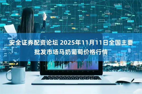 安全证券配资论坛 2025年11月11日全国主要批发市场马奶葡萄价格行情